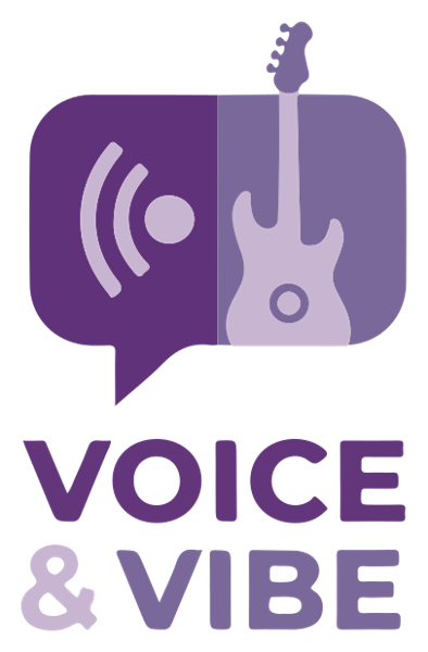 Voice & Vibe logo